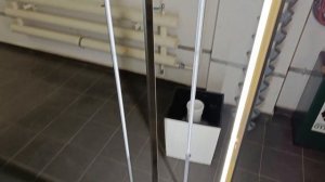 Ремонтантная домашняя земляника, на подоконнике растет круглый год