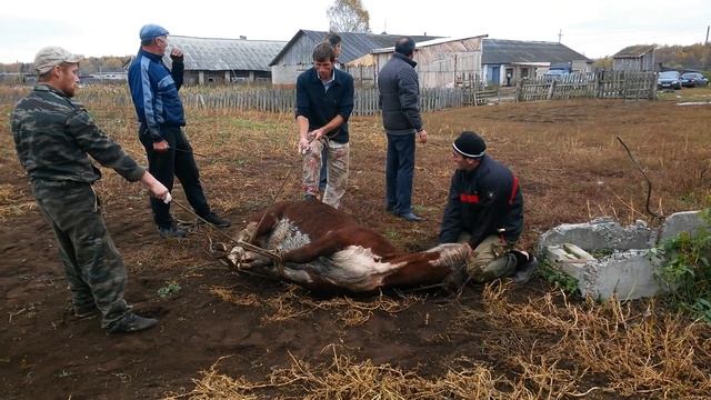 Иваново - Святой праздник Курбан Байрам смотреть онлайн