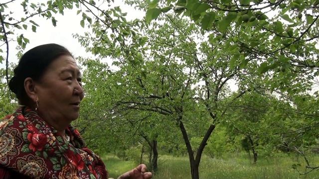 1800 ДААНА ОРУКТУ БИОГУМУС МЕНЕН ДАРЫЛАЙТ РАЙХАН САЛИЕВА смотреть онлайн