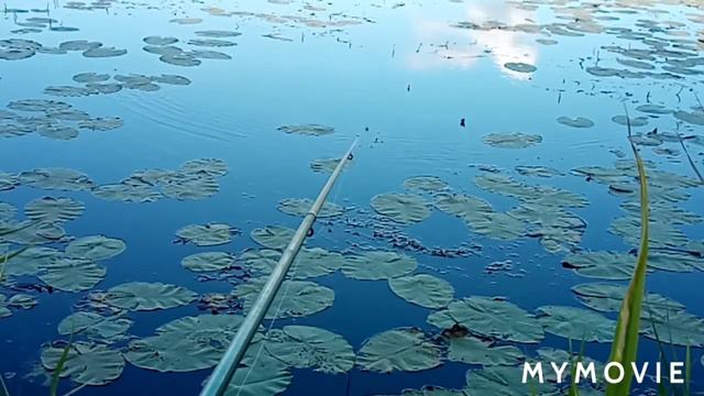 Рыбалка на реке. На поплавочную удочку в окошках. смотреть онлайн