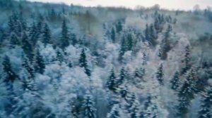 Судно-Molchat Doma (Борис Рыжий) Клип на песню.