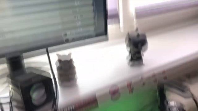 RAZER DEATHADDER ESSENTIAL СПУСТЯ 2 ГОДА Ӏ ОБЗОР САМОЙ БЮДЖЕТНОЙ ГЕЙМЕРСКОЙ МЫШИ ОТ RAZER