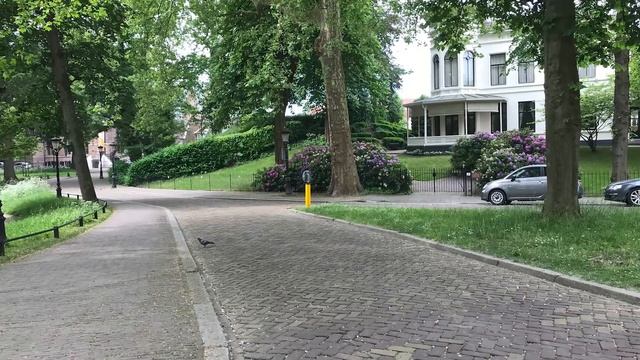 На сколько еще хватит IPhone 7 / 7plus? Обзор 2020