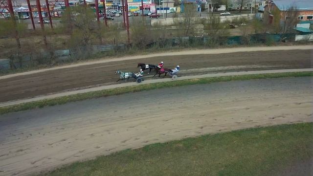 13.05.2023г. Приз Весенний для лошадей старшего возраста Орловской Рысистой породы 1600м. смотреть онлайн
