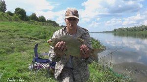 Это Насадка Выручила или Шматок Сало на Леща! Рыбалка на Донки на Оке!