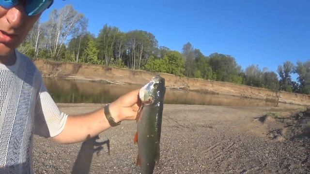 Сплав по реке Сакмара. День 2 смотреть онлайн