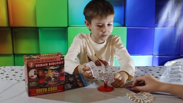 Анатомия для детей Изучаем зубы Anatomy for children Studying the teeth смотреть онлайн