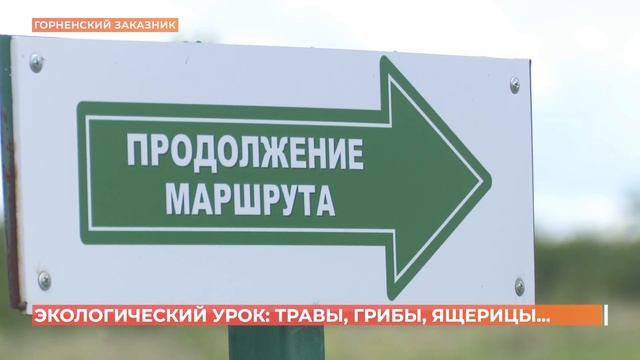 Экологический урок для школьников прошел в "Горненском" заказнике смотреть онлайн