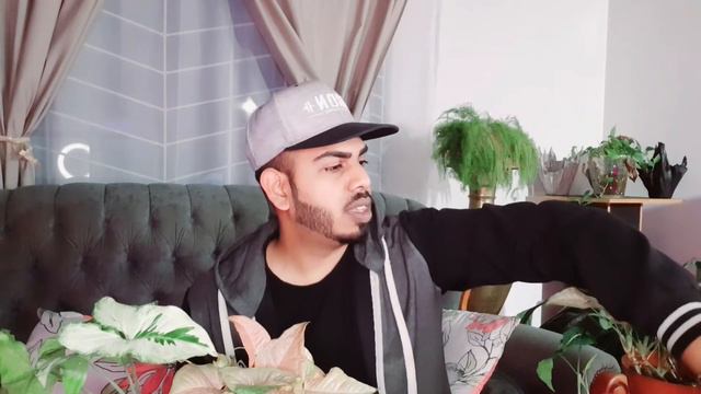 Syngonium Propagation Update. Part 3 Of 3. Experiment With Different Rooting Media