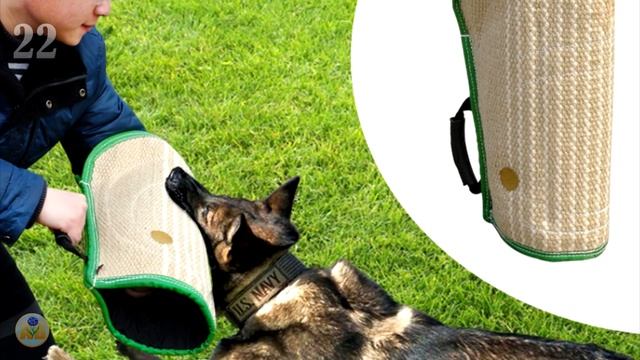 Лучшие товары для домашних животных с АлиЭкспресс смотреть онлайн