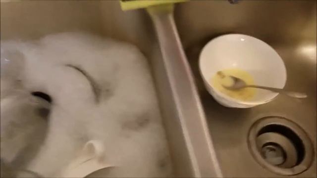 Tyent water morning routine смотреть онлайн