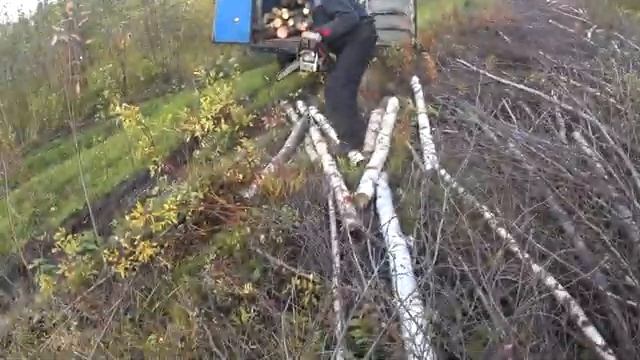 ХОТЕЛ РАЗРУШИТЬ БОБРОВУЮ ПЛОТИНУ/РАБОТА НА ДРОВАХ/СЛАВКА ОПЕРАТОР.9.ч смотреть онлайн