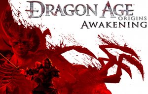 Dragon Age Origins