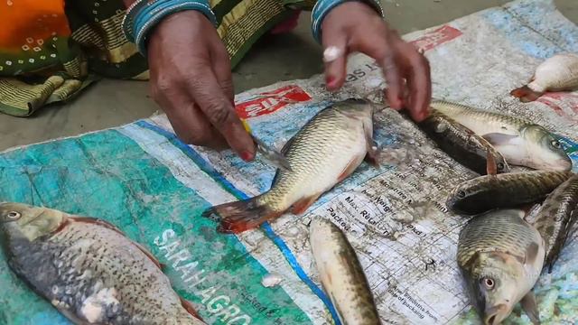 how to catch fish in river! catching big fish in the ocean,fish catching in village,rohu fish recip смотреть онлайн