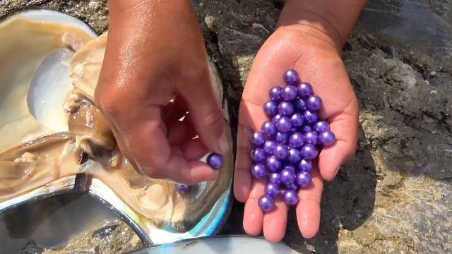 Uncovering the Mystery of River Clams: The Story of a Girl Collecting Purple Pearl смотреть онлайн