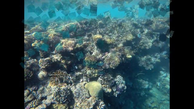 ШАРМ Эль ШЕЙХ