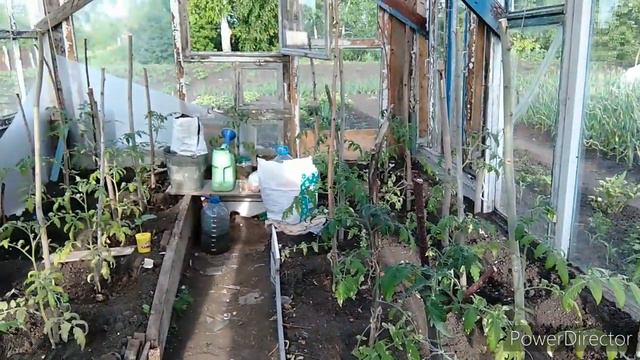 Едем в деревню к любимой бабушке в Самарскую область смотреть онлайн