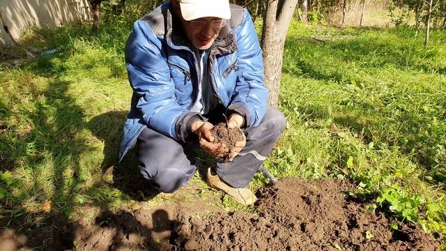 4 Голубой Алмаз вырос среди корней (3).mp4 смотреть онлайн