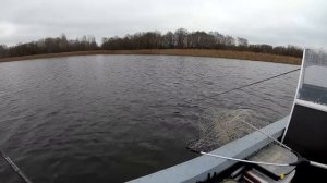 Я В ШОКЕ! ТЕЙЛ СПИННЕРЫ работают перед ледоставом ЛУЧШЕ СИЛИКОНА!