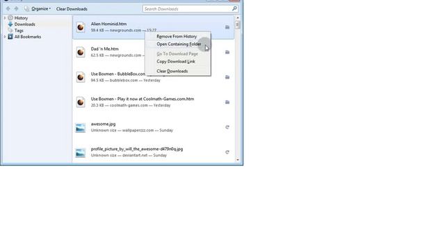 How To Download Flash Games From Any Site (Like Newgrounds.com)