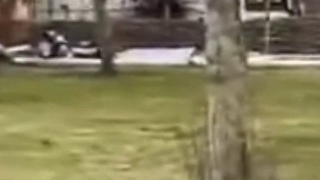 13 карт все смешанные песни смотреть онлайн