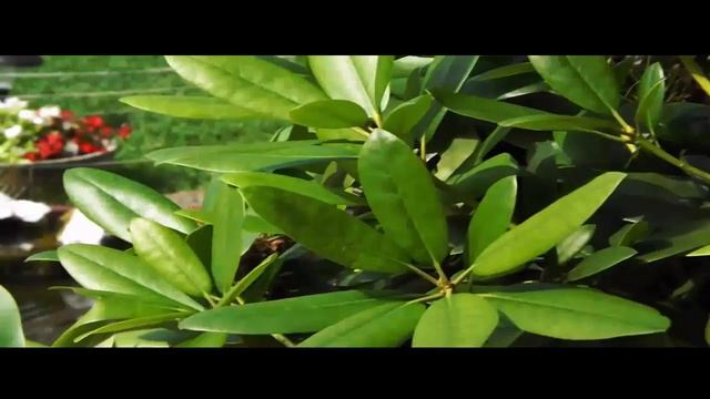 KameraTest | FinePix S4400 | AroundProduction смотреть онлайн