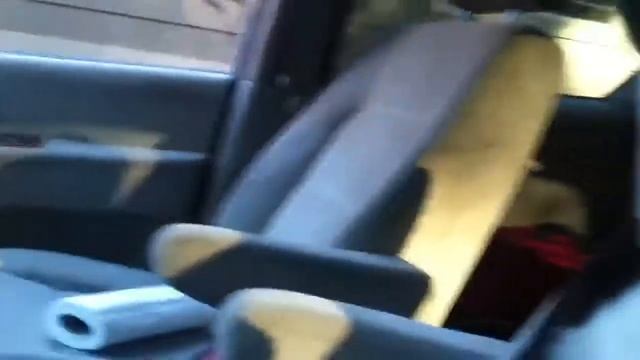 THE BEST DOGGY DRIVER смотреть онлайн