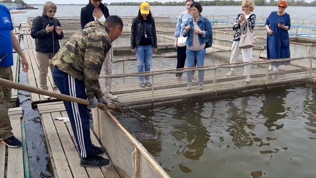 Астраханская рыбоферма смотреть онлайн