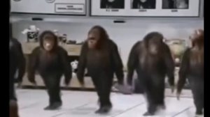 Обезьянки танцуют (мем)