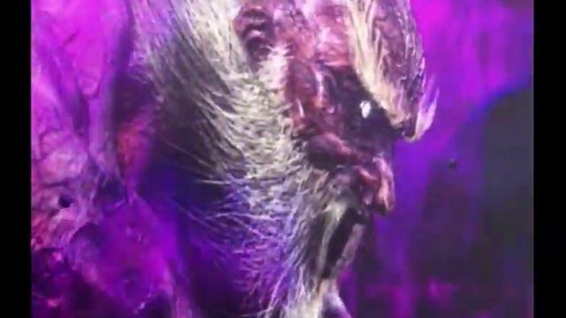 Tekken 5: Jinpachi - Final Transformation смотреть онлайн