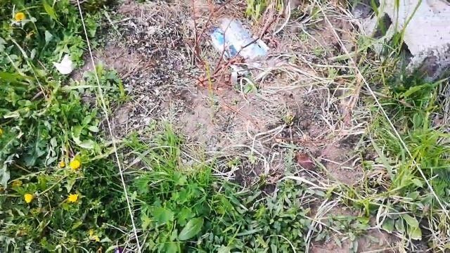 Траншея под виноград смотреть онлайн