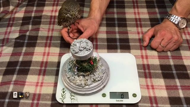 Пушистые Персонажи