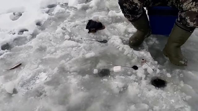 Зимняя рыбалка 2020-Хитрая щука-Бездорожье. смотреть онлайн