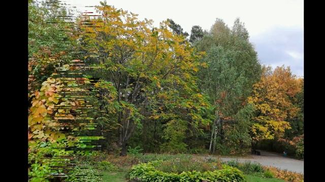 Просто подари взгляд смотреть онлайн