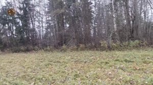 Прицеп к мотоблоку своими руками