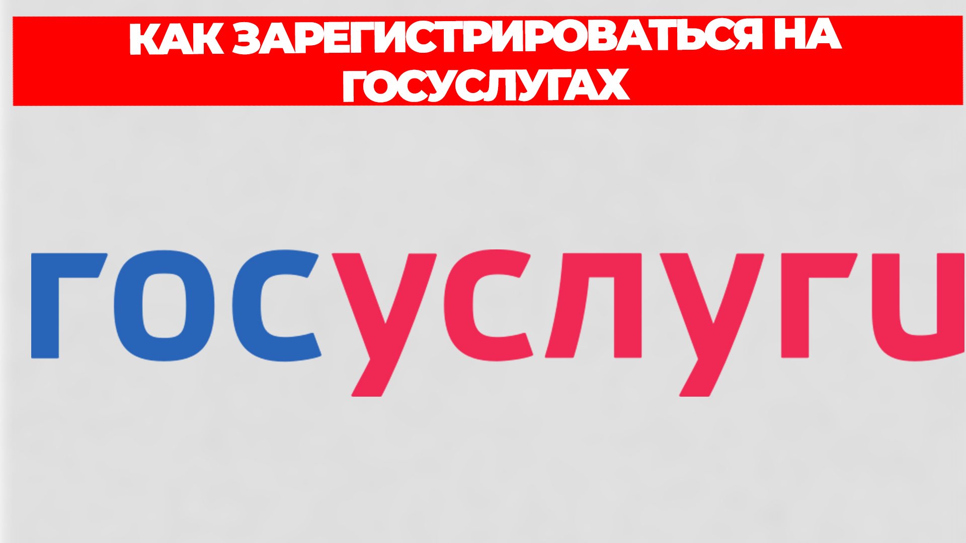 Всезнающий Енот