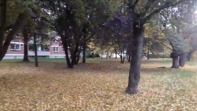 Осеннее настроение. Музыка Андрея Наплёкова. смотреть онлайн