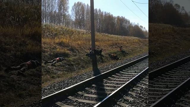 Тяжелая Работа в ОАО «РЖД» ПМС-20 смотреть онлайн