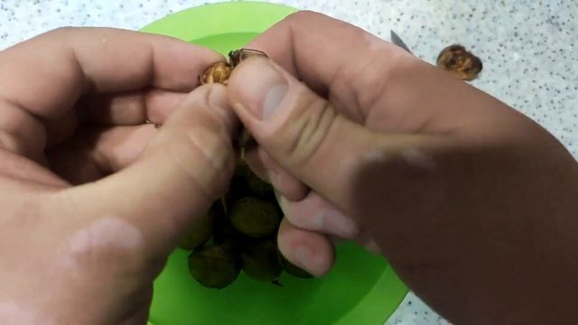 Вегетарианские Блюда и Гастрономия