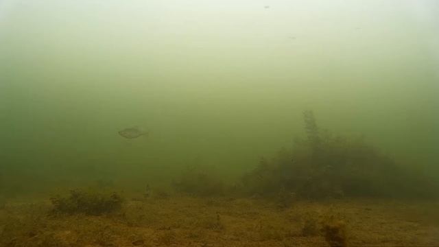 Зимняя рыбалка с экшн-камерой смотреть онлайн