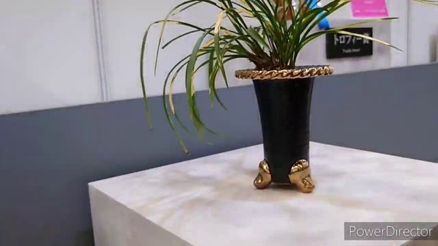 Всемирная выставка орхидей в Токио. 世界らん展2021 —花と緑の祭典— 2021.3.25 - 3.31 смотреть онлайн