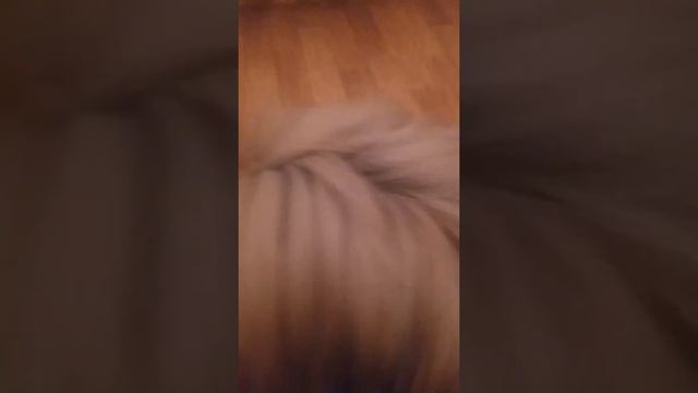 Решила показать Вам как Коди проводит вечера. смотреть онлайн