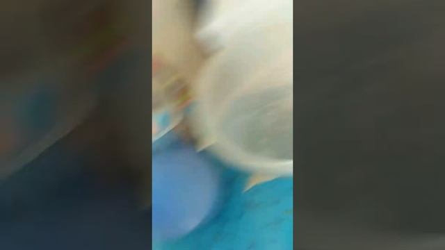 Мою  своих улиток ахатин)/? улитки выложили яйца?