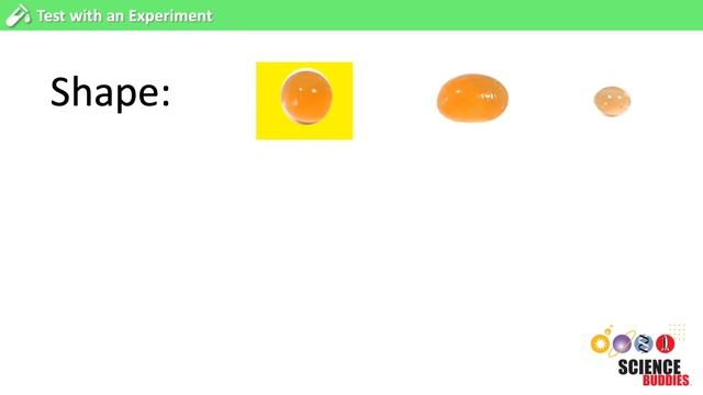 The Scientific Method: Steps and Examples смотреть онлайн