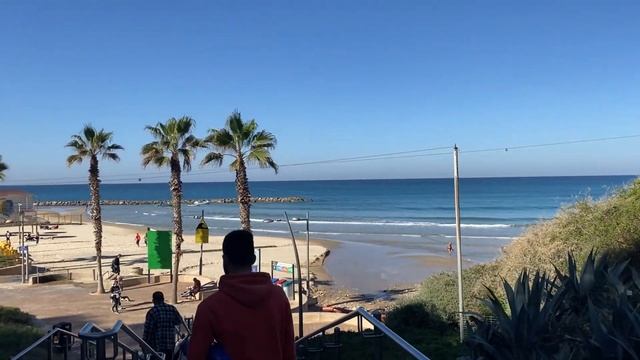 Корабли: Погрузись в мир водных приключений