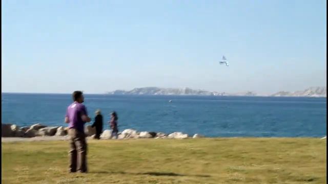 Bionic Bird Avitron (биомеханическая птица Авитрон) смотреть онлайн