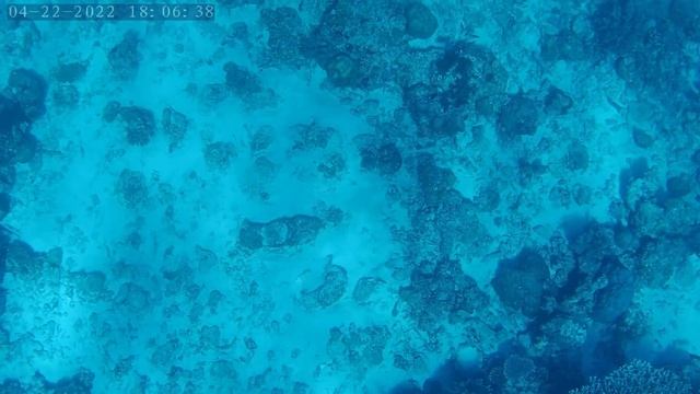 Headshot MONSTER LAUT 80an Kg. Spearfishing 23 смотреть онлайн