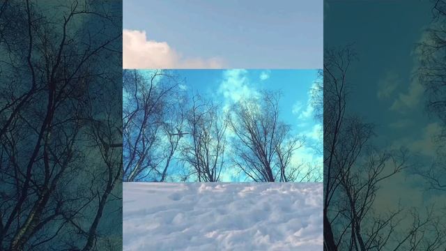 КАНАЛ ИМЕНИ МОСКВЫ Д.НОВОСЕЛЬЦЕВО смотреть онлайн