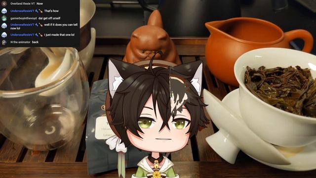 Honkai Star Rail Soon Handcam (Chat & Tea) #57 Gongfu Tea Tie Luo Han смотреть онлайн