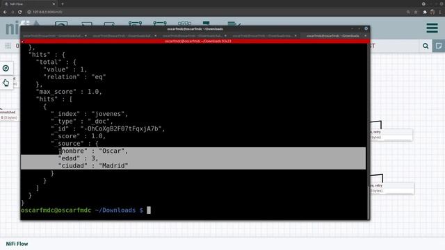 Apache NiFi desde cero: La guía esencial смотреть онлайн